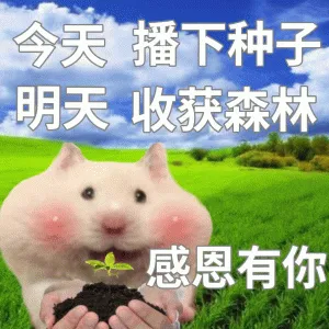 今天播下种子 明天收获森林 感恩有你 鼠鼠表情包 可爱仓鼠手持幼苗，配文“今天播下种子 明天收获森林 感恩有你”表情包图片gif动图 - 求 ...