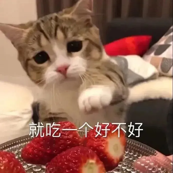 可爱猫咪对着草莓伸出爪子，配文“就吃一个好不好” 在? 看看鸟 | 每日表情包更新表情包图片gif动图 - 求表情网,斗图从此不求人!