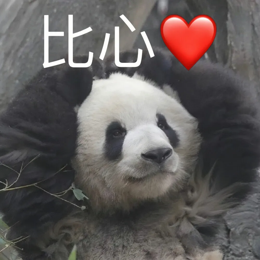 大熊猫萌兰表情包 "么么儿：比心！" - 高清图片，堆糖，美图壁纸兴趣社区